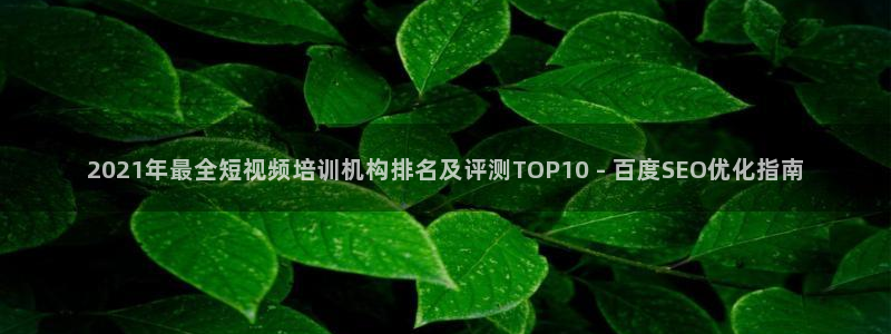 龙8国际官网进入